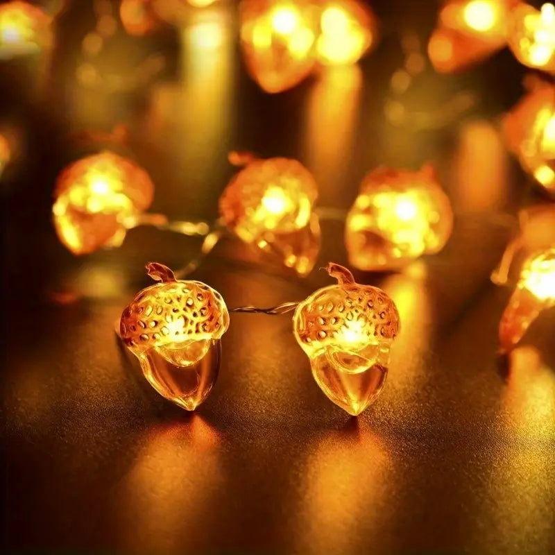 acorn lights